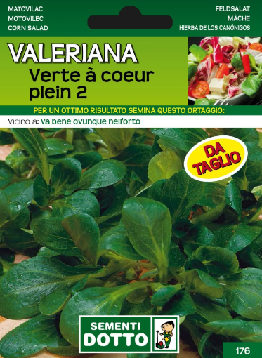 Immagine di BUSTA PICCOLA VALERIANA VERT A COEUR PLEIN