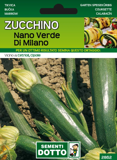 Immagine di BUSTA PICCOLA ZUCCHINO NANO VERDE DI MILANO