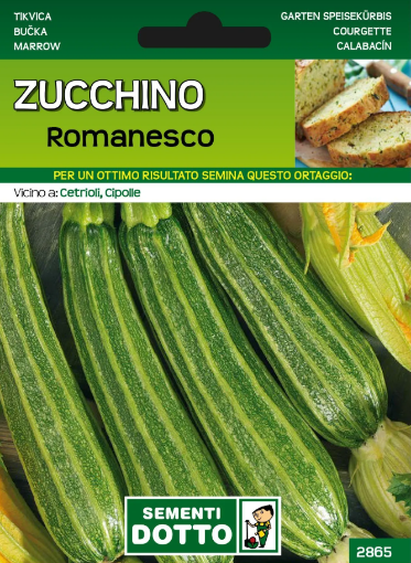 Immagine di BUSTA PICCOLA ZUCCHINO ROMANESCO