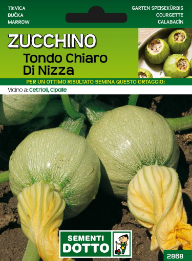 Immagine di BUSTA PICCOLA ZUCCHINO TONDO CHIARO NIZZA