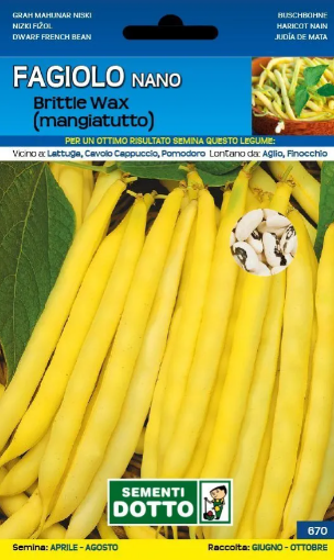 Immagine di BUSTA GRANDE FAGIOLO BRITTLE WAX NANO