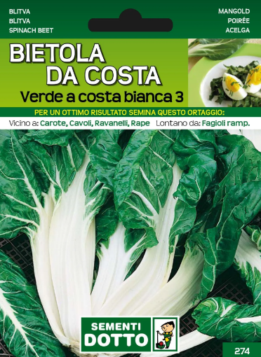 Immagine di BUSTA GRANDE BIETOLA DA COSTE VERDE A COSTA BIANCA 3