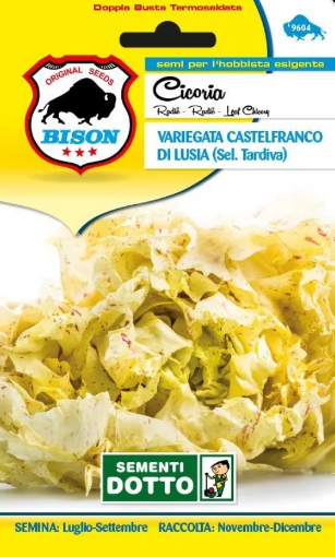 Immagine di BUSTA GRANDE CICORIA VARIEGATA CASTELFRANCO DI LUSIA