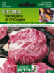 Immagine di BUSTA GRANDE CICORIA VARIEGATA DI CHIOGGIA