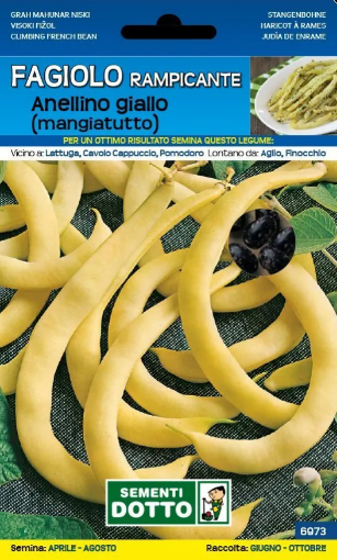 Immagine di BUSTA GRANDE FAGIOLO ANELLINO GIALLO RAMP.