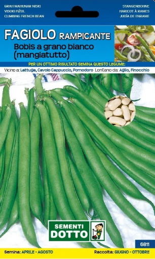 Immagine di BUSTA GRANDE FAGIOLO BOBIS A GRANO BIANCO RAMP.