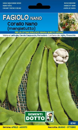 Immagine di BUSTA GRANDE FAGIOLO CORALLO NANO (MARCONI SB)