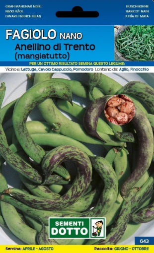 Immagine di BUSTA GRANDE FAGIOLO NANO ANELLINO DI TRENTO