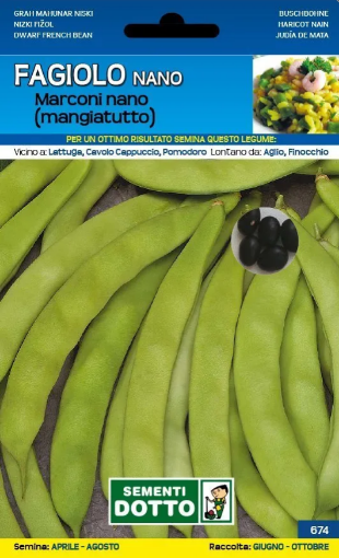 Immagine di BUSTA GRANDE FAGIOLO NANO MARCONI NANO A SEME NERO
