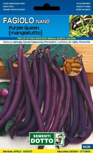 Immagine di BUSTA GRANDE FAGIOLO NANO PURPLE QUEEN