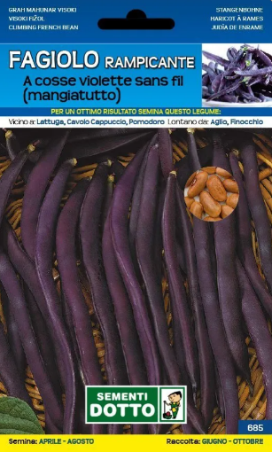 Immagine di BUSTA GRANDE FAGIOLO RAMPICANTE A COSSE VIOLETTE SANS FIL