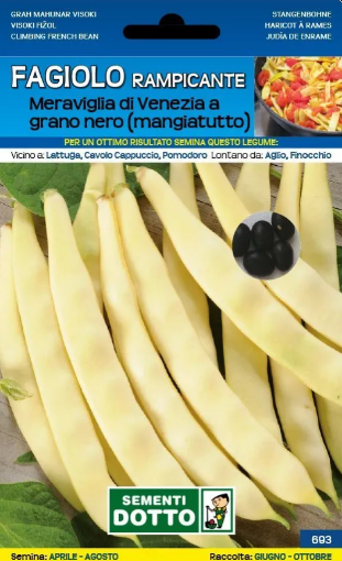 Immagine di BUSTA GRANDE FAGIOLO RAMPICANTE MERAVIGLIA DI VENEZIA A GRANO NERO