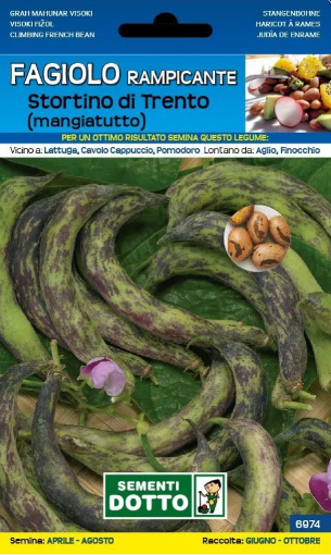 Immagine di BUSTA GRANDE FAGIOLO STORTINO TRENTO RAMP.