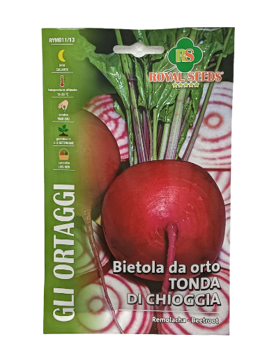 Immagine di BIETOLA DA ORTO TONDA DI CHIOGGIA MAXI