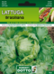 Immagine di BUSTA GRANDE LATTUGA BRASILIANA