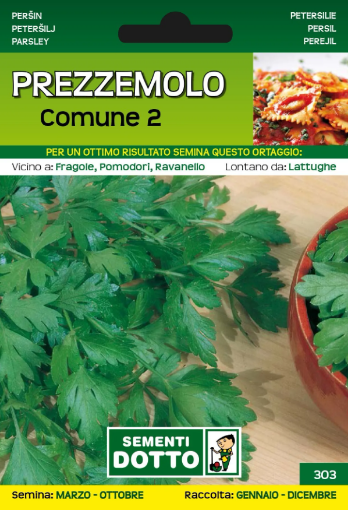 Immagine di BUSTA GRANDE PREZZEMOLO COMUNE 2