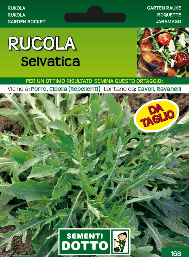 Immagine di BUSTA GRANDE RUCOLA SELVATICA