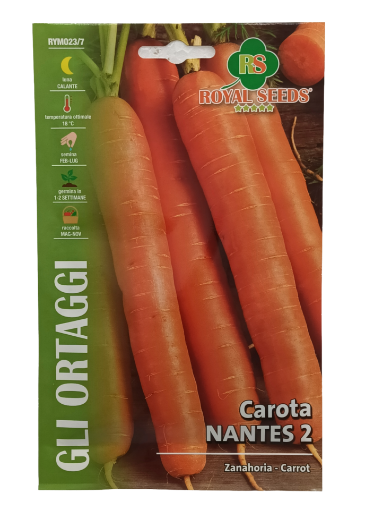 Immagine di BUSTA CAROTA NANTES 2 MAXI