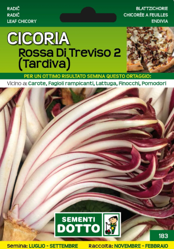 Immagine di BUSTA GRANDE CICORIA ROSSA TREVISO 2 TARD.