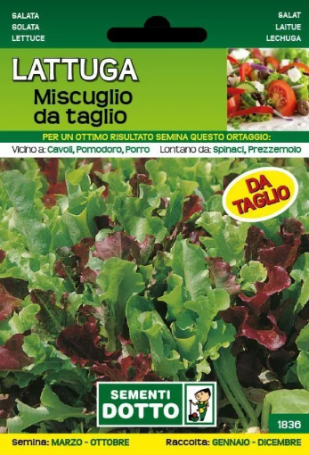 Immagine di BUSTA GRANDE LATTUGA MISTICANZA