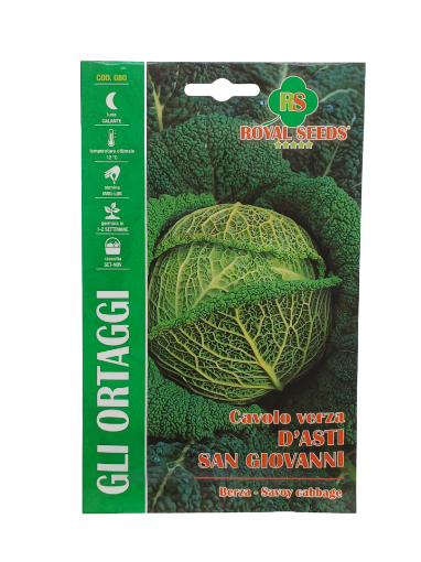 Immagine di CAVOLO VERZA D'ASTI SAN GIOVANNI MAXI
