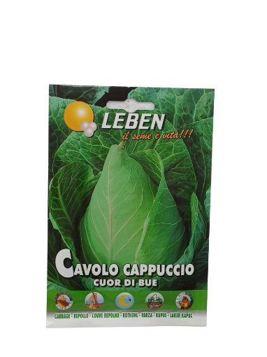 Immagine di CAVOLO CAPPUCCIO CUOR BUE