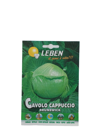 Immagine di CAVOLO CAPPUCCIO BRUNSWICK