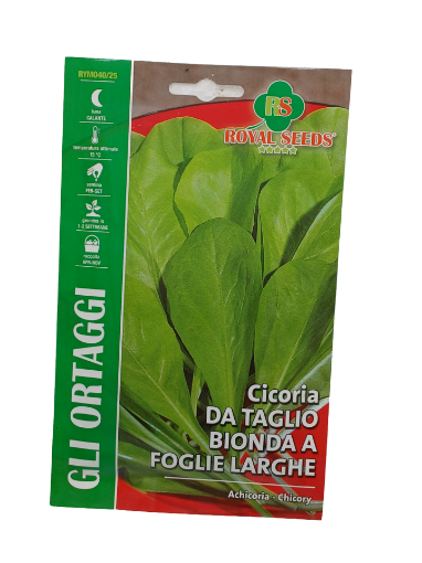 Immagine di CICORIA DA TAGLIO BIONDA A  FOGLIE LARGHE MAXI