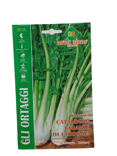 Immagine di BUSTA CICORIA CATALOGNA GIGANTE DI GHIOCCIA MAXI