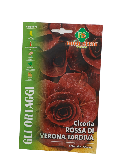 Immagine di BUSTA CICORIA ROSSA DI VERONA TARDIVA.MAXI