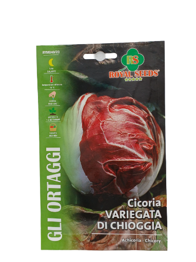 Immagine di BUSTA CICORIA VARIEGATA DI GHIOCCIA MAXI