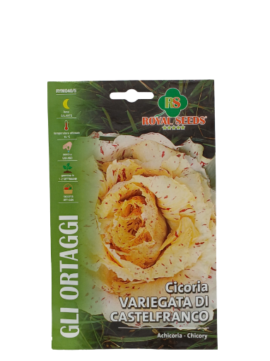 Immagine di BUSTA CICORIA VARIEGATA DI CASTELFRANCO MAXI