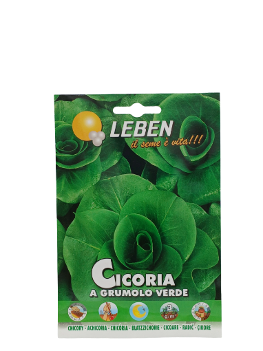 Immagine di BUSTA PICCOLA CICORIA GRUMOLO VERDE