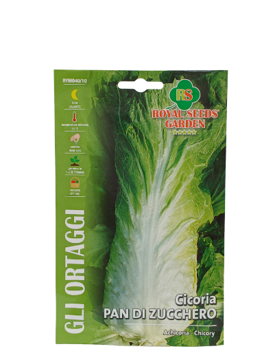 Immagine di CICORIA PAN DI ZUCCHERO MAXI