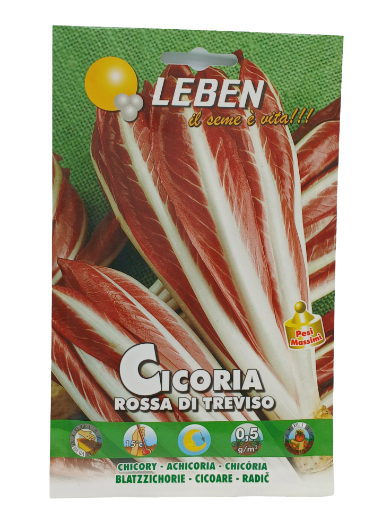 Immagine di CICORIA ROSSA TREVISO T. LBM