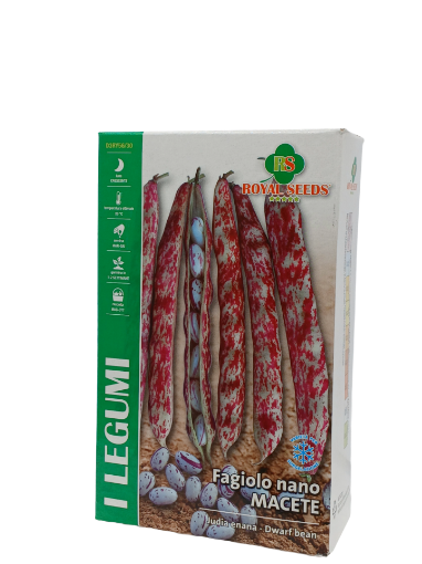 Immagine di FAGIOLO NANO MACETE 500G