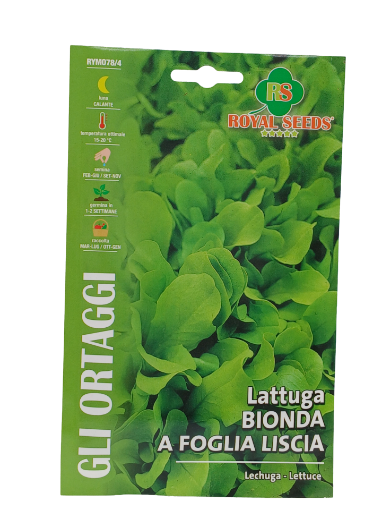 Immagine di BUSTA LATTUGA BIONDA DA FOGLIA LISCIA MAXI