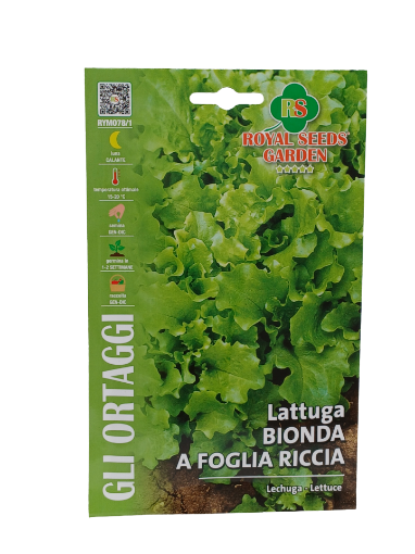 Immagine di BUSTA LATTUGA BIONDA A FOGLIA RICCIA MAXI