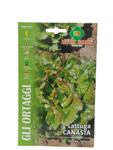 Immagine di BUSTA LATTUGA CANASTA MAXI