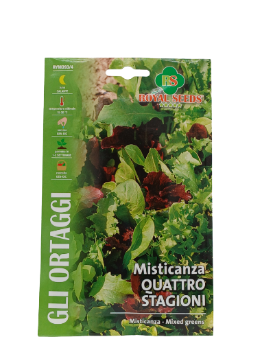 Immagine di MISTIC.QUATTRO STAGIONI MAXI