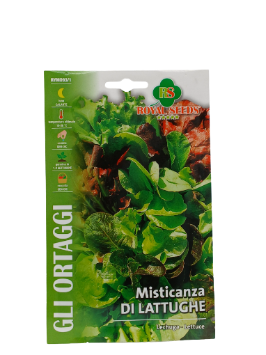 Immagine di MISTICANZA DI LATTUGHE MAXI