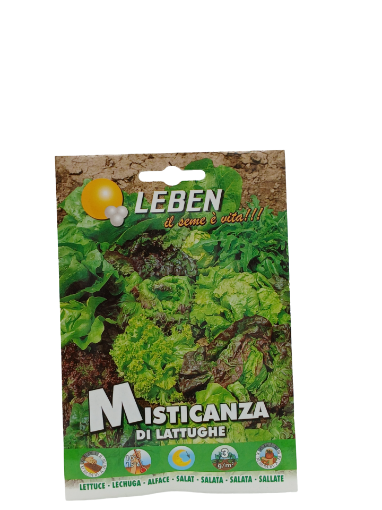 Immagine di MISTICANZA LATTUGHE