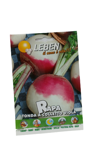 Immagine di RAPA TONDA A COL.VIOLA LBO