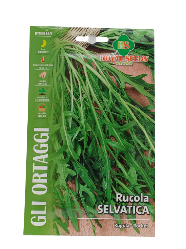 Immagine di RUCOLA SELVATICA MAXI