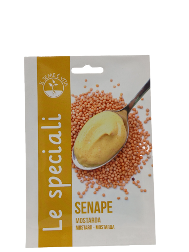 Immagine di SENAPE BIANCA SPE