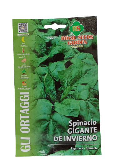 Immagine di SPINACIO GIG.INVIERNO MAXI