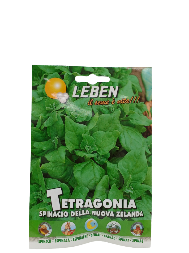 Immagine di TETRAGONIA NUOVA ZELANDA