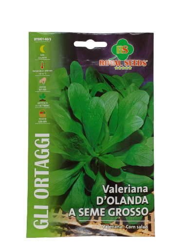 Immagine di BUSTA VALERIANA OLANDA SEME GROSSO MAXI