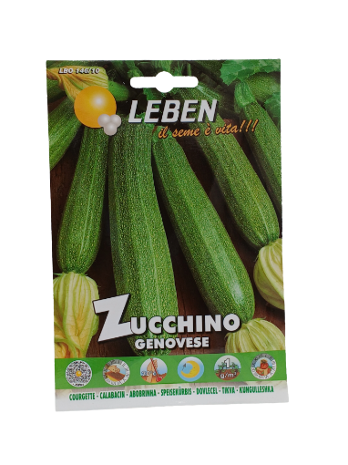 Immagine di ZUCCHINO GENOVESE