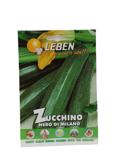 Immagine di ZUCCHINO NERO MILANO